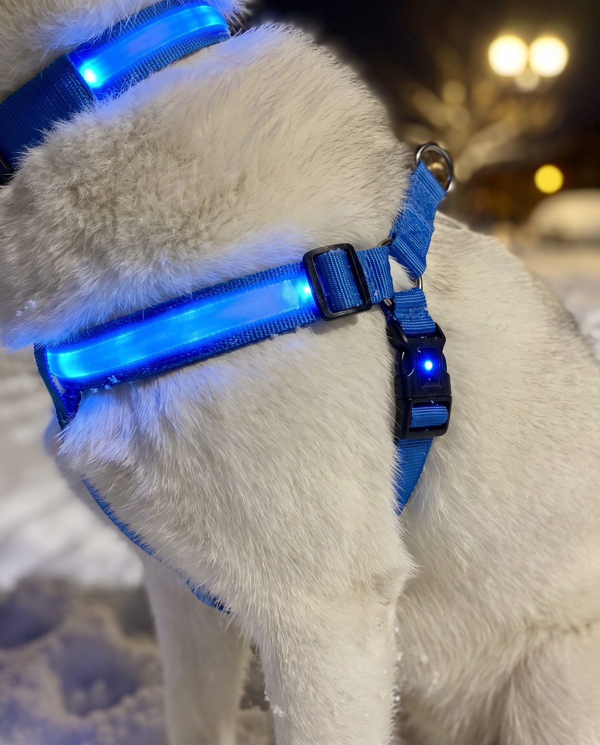 LumaWalk LED Night Full Walk Kit — product detail 5
