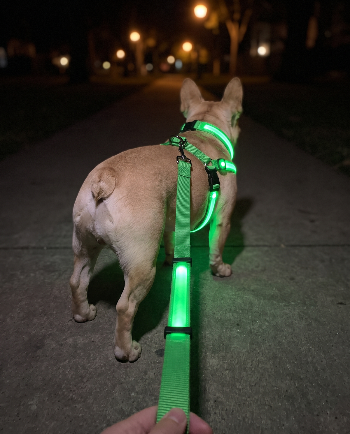 LumaWalk LED Night Full Walk Kit — product detail 6