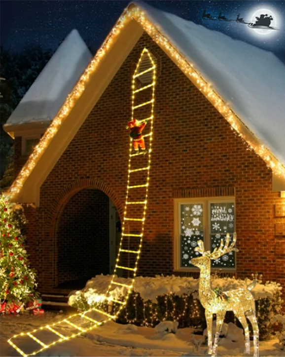 pt-image-4e482a0f0217.png